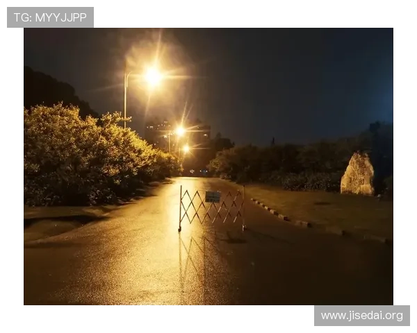 南宫体育公园的夜间照明与安全保障措施,确保夜晚运动的安全与便利