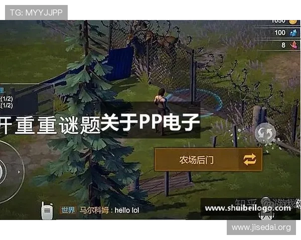 PP电子模拟器官网最新版本下载与安装指南,全面提升您的游戏体验