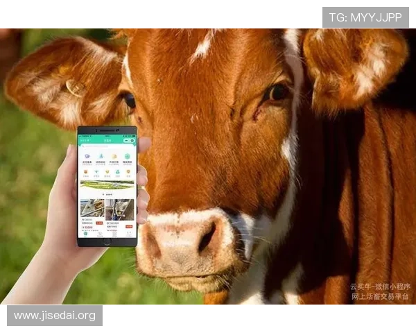 南宫娱ng666平台的安全支付方式详解保障每一笔交易的安全与便捷体验